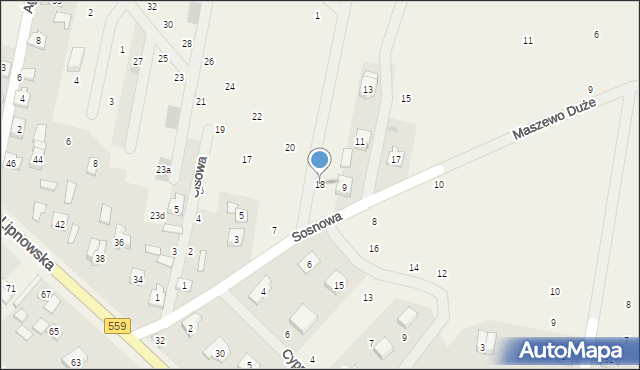 Maszewo Duże, Mickiewicza Adama, 18, mapa Maszewo Duże