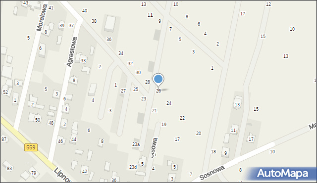 Maszewo Duże, Mickiewicza Adama, 26, mapa Maszewo Duże