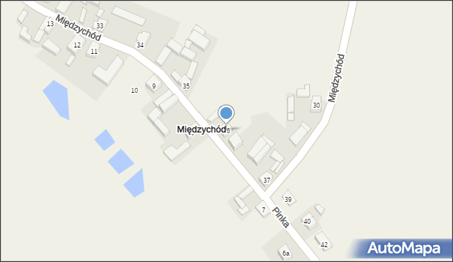 Międzychód, Międzychód, 36, mapa Międzychód