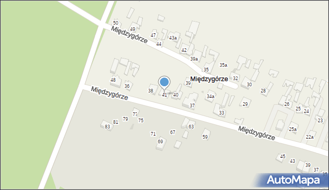 Międzygórze, Międzygórze, 41, mapa Międzygórze
