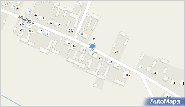 Międzyleś, Międzyleś, 40, mapa Międzyleś