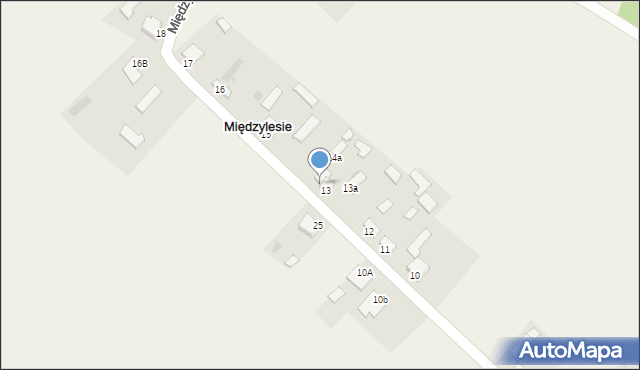 Międzylesie, Międzylesie, 14, mapa Międzylesie