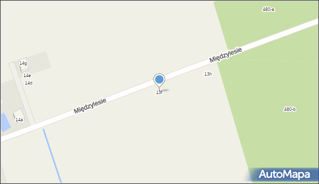 Międzylesie, Międzylesie, 13f, mapa Międzylesie