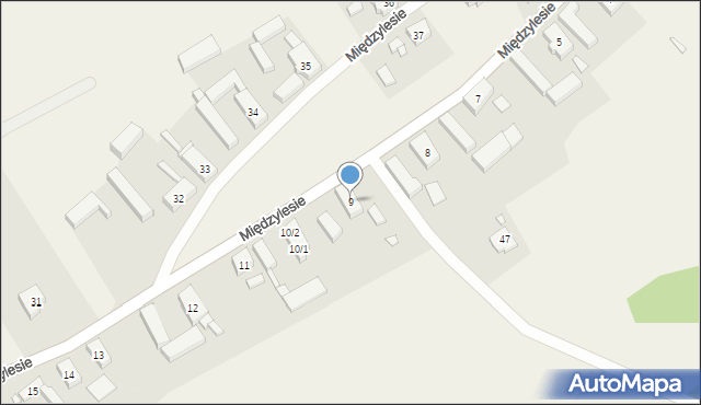 Międzylesie, Międzylesie, 9, mapa Międzylesie