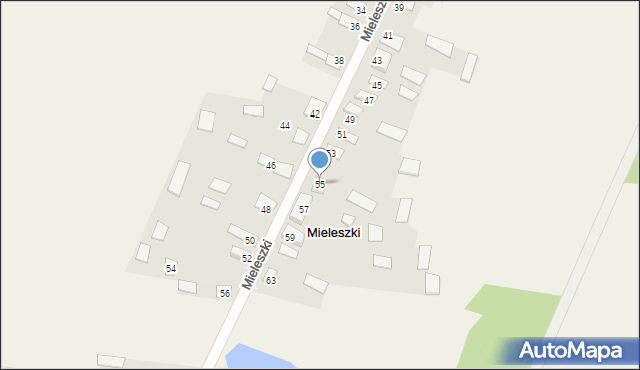 Mieleszki, Mieleszki, 55, mapa Mieleszki