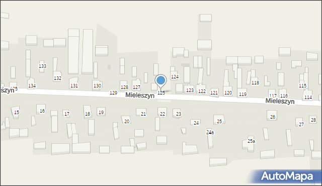 Mieleszyn, Mieleszyn, 125, mapa Mieleszyn