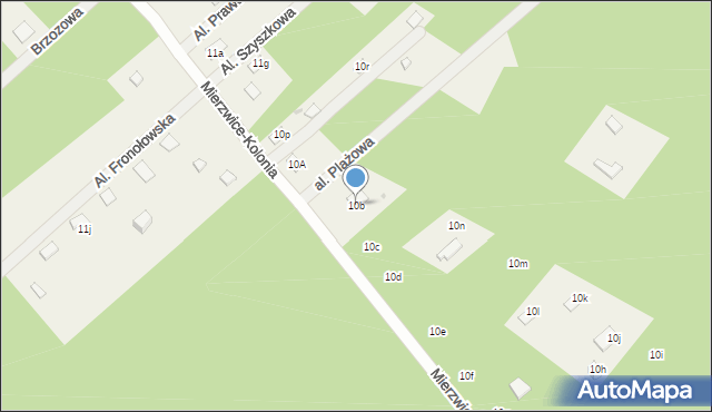 Mierzwice-Kolonia, Mierzwice-Kolonia, 10b, mapa Mierzwice-Kolonia