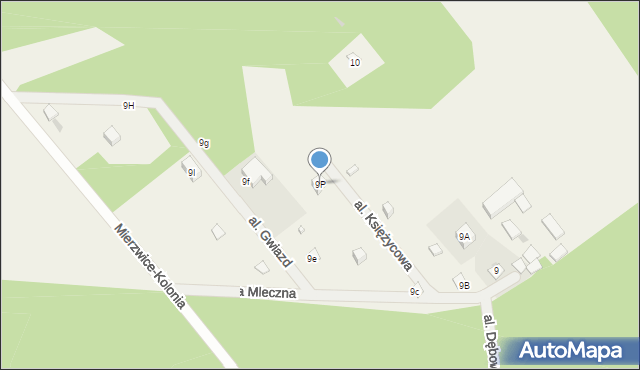Mierzwice-Kolonia, Mierzwice-Kolonia, 9P, mapa Mierzwice-Kolonia
