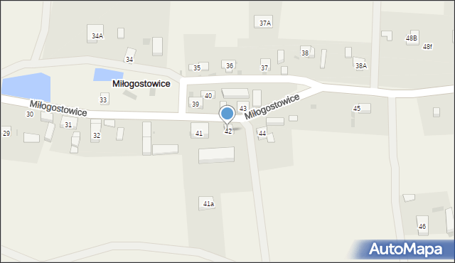 Miłogostowice, Miłogostowice, 42, mapa Miłogostowice