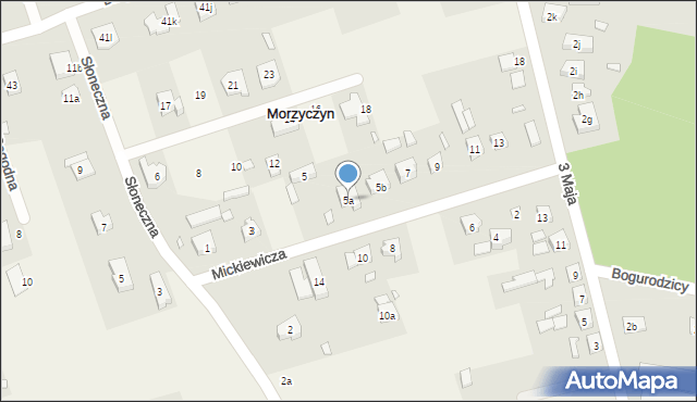 Morzyczyn, Mickiewicza Adama, 5a, mapa Morzyczyn