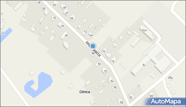 Narew, Mickiewicza Adama, 48, mapa Narew