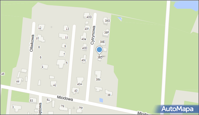 Ostrowiec Świętokrzyski, Miodowa, 38D, mapa Ostrowiec Świętokrzyski