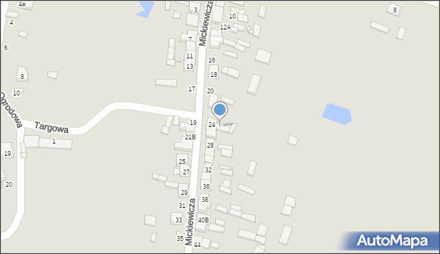 Parzęczew, Mickiewicza Adama, 24a, mapa Parzęczew