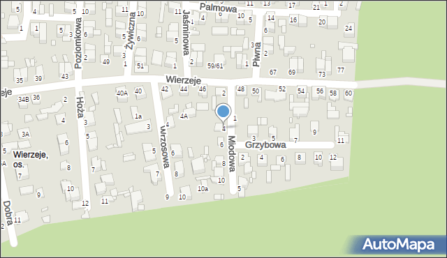 Piotrków Trybunalski, Miodowa, 4, mapa Piotrków Trybunalski