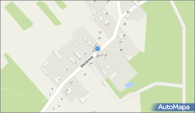 Pruszyn-Pieńki, Miodowa, 16, mapa Pruszyn-Pieńki