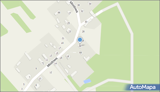 Pruszyn-Pieńki, Miodowa, 24, mapa Pruszyn-Pieńki