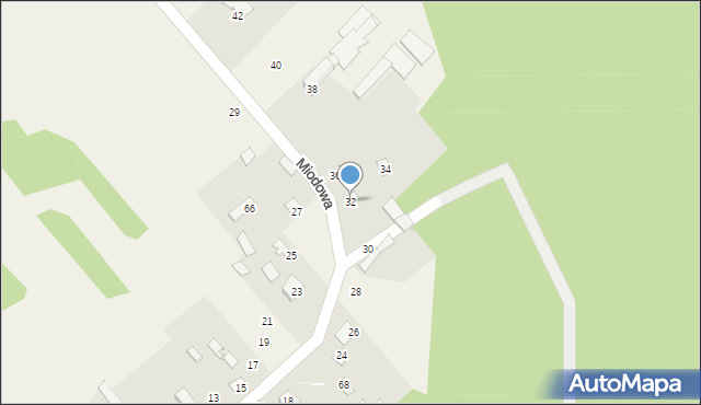 Pruszyn-Pieńki, Miodowa, 32, mapa Pruszyn-Pieńki