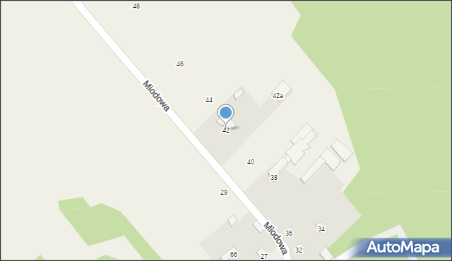 Pruszyn-Pieńki, Miodowa, 42, mapa Pruszyn-Pieńki