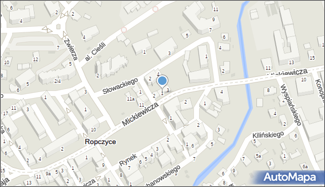 Ropczyce, Mickiewicza Adama, 1, mapa Ropczyce