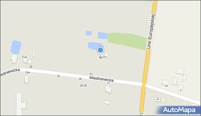 Skierniewice, Miedniewicka, 55, mapa Skierniewic