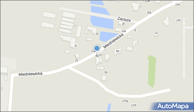 Skierniewice, Miedniewicka, 6a, mapa Skierniewic