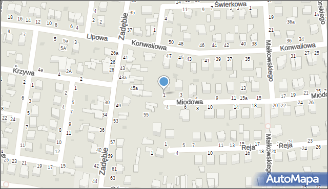 Skierniewice, Miodowa, 1, mapa Skierniewic