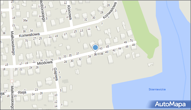 Skierniewice, Miodowa, 36, mapa Skierniewic