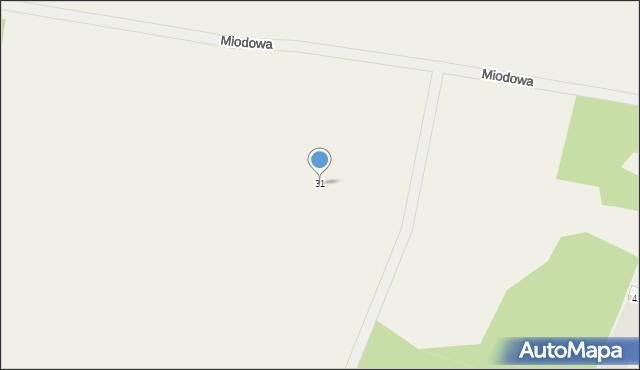 Skrajnica, Miodowa, 31, mapa Skrajnica
