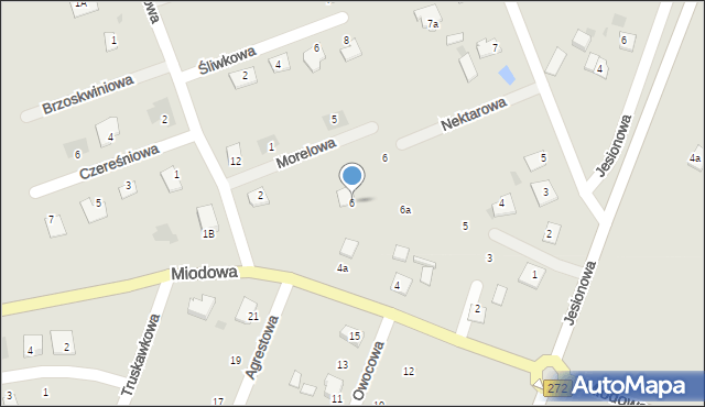 Świecie, Miodowa, 6, mapa Świecie