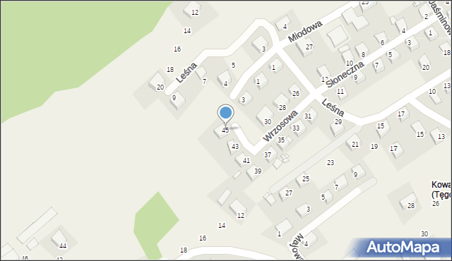 Tęgoborze, Millenium, 45, mapa Tęgoborze
