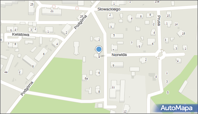 Torzym, Mickiewicza Adama, 4, mapa Torzym