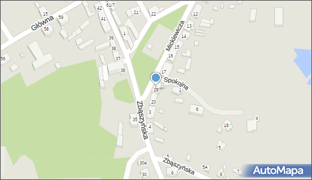 Trzciel, Mickiewicza Adama, 19, mapa Trzciel