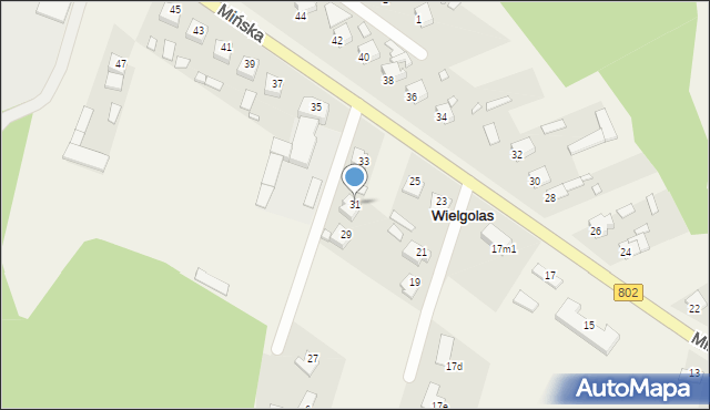 Wielgolas, Mińska, 31, mapa Wielgolas