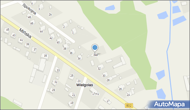 Wielgolas, Mińska, 34a, mapa Wielgolas
