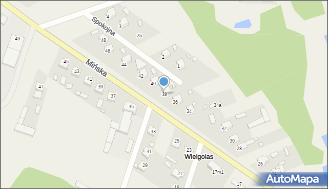 Wielgolas, Mińska, 38, mapa Wielgolas