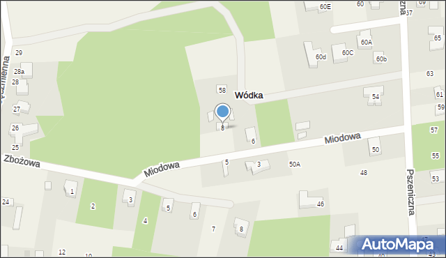 Wódka, Miodowa, 8, mapa Wódka