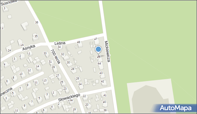 Żerków, Mickiewicza Adama, 45, mapa Żerków