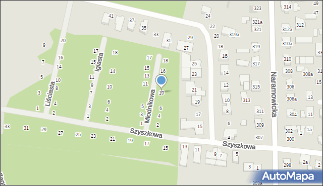 Poznań, Młodnikowa, 10, mapa Poznania