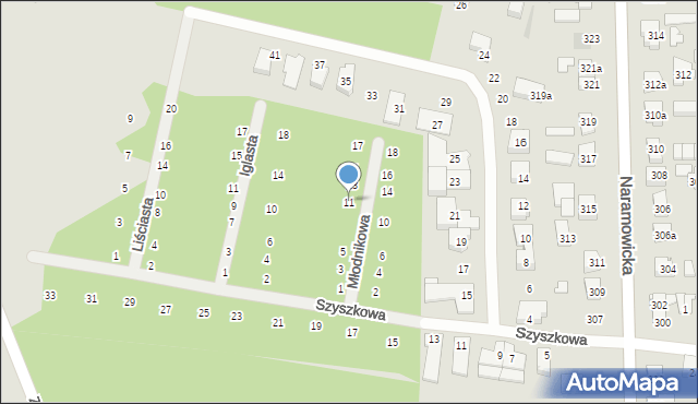 Poznań, Młodnikowa, 11, mapa Poznania