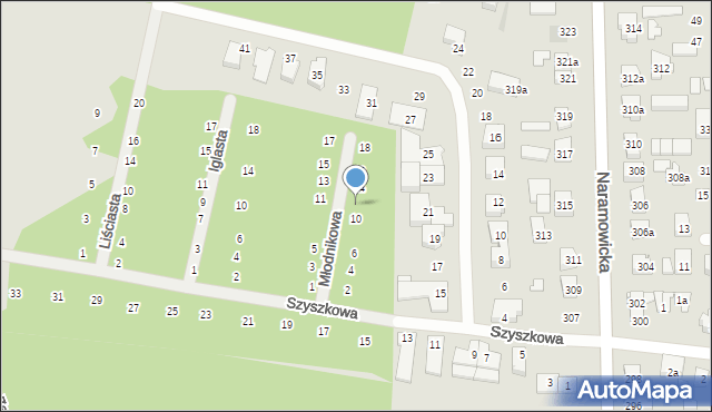 Poznań, Młodnikowa, 12, mapa Poznania