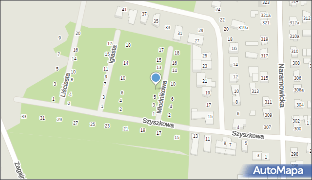 Poznań, Młodnikowa, 7, mapa Poznania