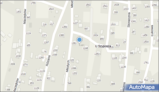 Radziechowy, Młodych, 1359, mapa Radziechowy