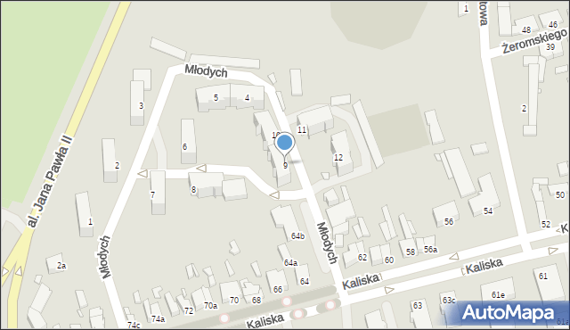 Turek, Młodych, 9, mapa Turka