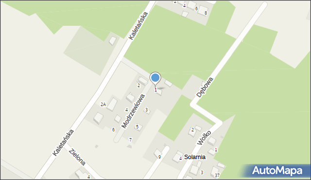 Boruszowice, Modrzewiowa, 1, mapa Boruszowice