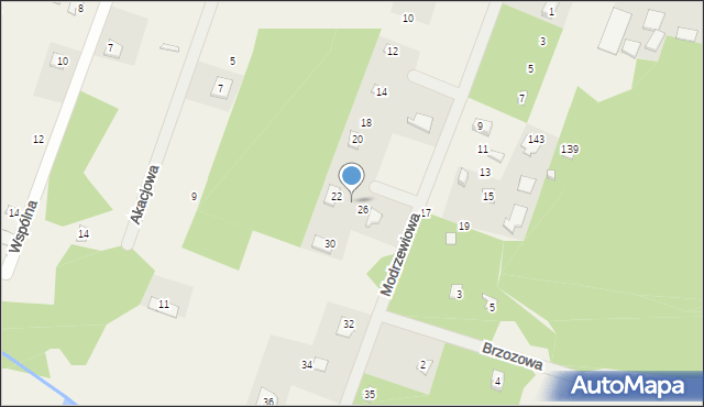 Borzychy, Modrzewiowa, 24, mapa Borzychy