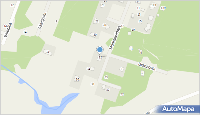 Borzychy, Modrzewiowa, 32, mapa Borzychy