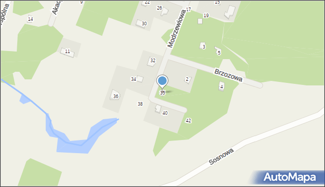 Borzychy, Modrzewiowa, 35, mapa Borzychy