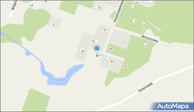 Borzychy, Modrzewiowa, 38, mapa Borzychy