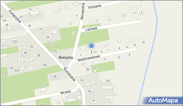 Borzymy, Modrzewiowa, 3, mapa Borzymy