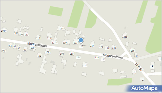 Dąbrowa Górnicza, Modrzewiowa, 125, mapa Dąbrowa Górnicza